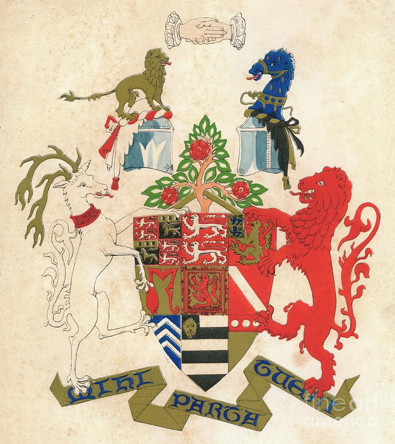 Coat Of Arms Of Stiyleman Le Strange Drawing by Print Collector