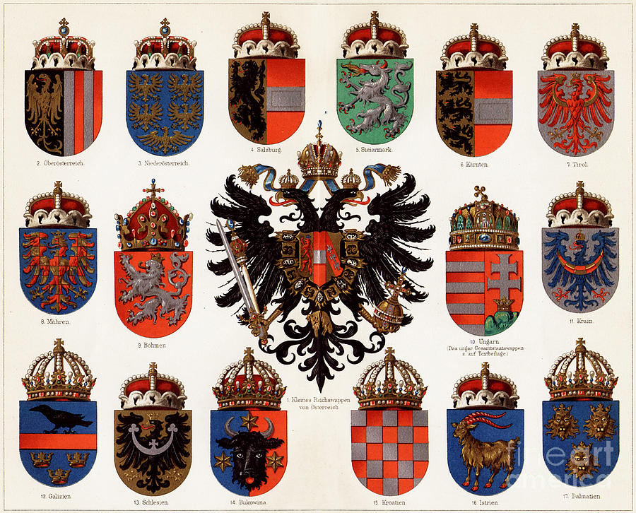 Coats Of Arms Of Counties Drawing by Heritage Images