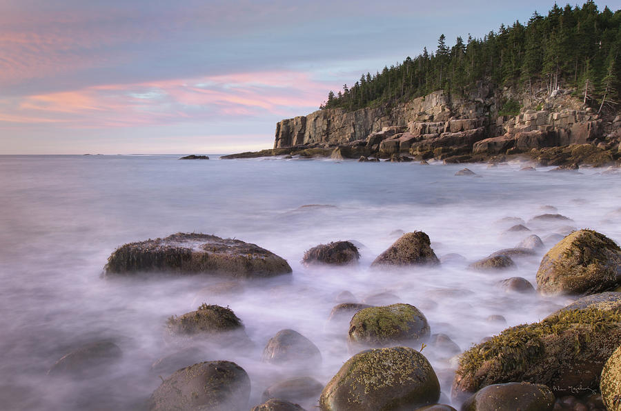 Acadia National Park Photograph - Cobblestone Beach by Alan Majchrowicz