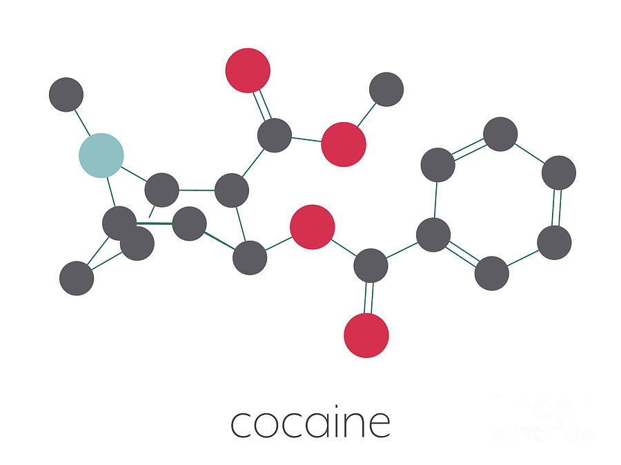 Ring Photograph - Cocaine Stimulant Drug Molecule by Molekuul/science Photo Library
