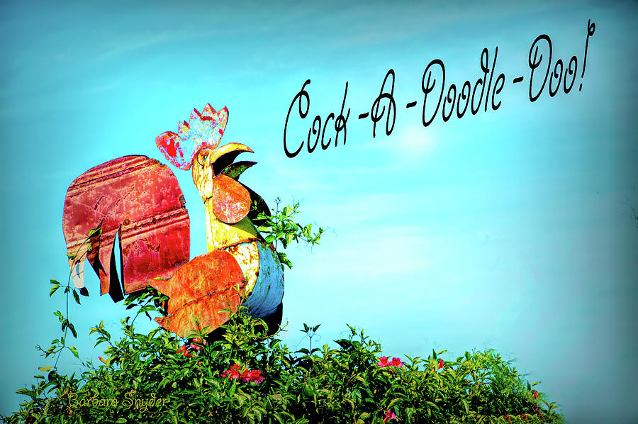 Rooster Photograph - Cock A Doodle Doo by Barbara Snyder