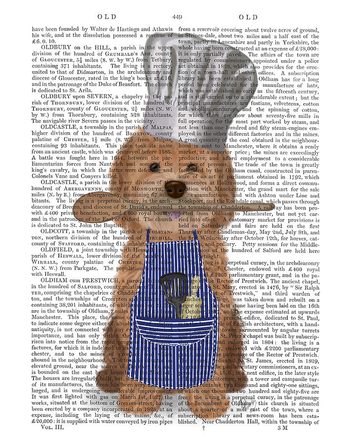 Dog Painting - Cockapoo Chef Book Print by Fab Funky