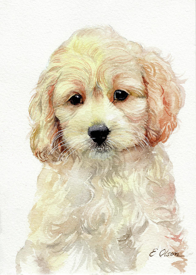 Cockapoo Puppy Painting by Emily Olson