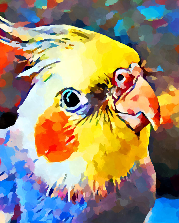 Cockatiel 3 Painting by Chris Butler