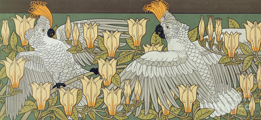 Cockatoo and Magnolia Painting by Maurice Pillard Verneuil