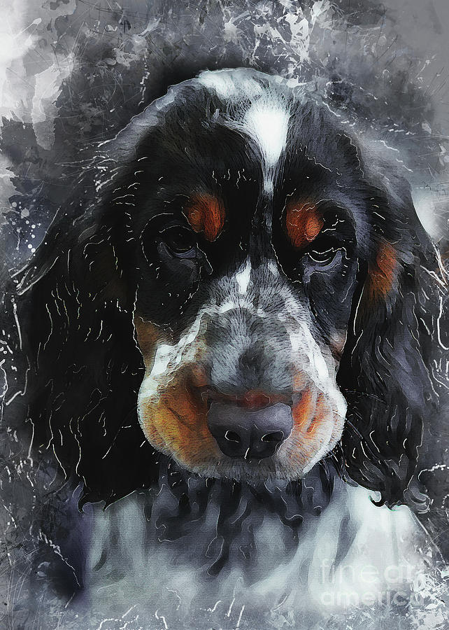 Cocker Spaniel dog Digital Art by Justyna Jaszke JBJart