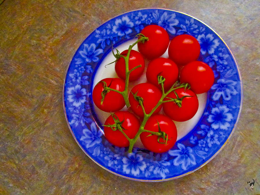Cocktail Tomatoes Photograph