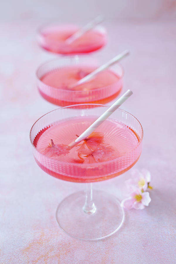 Cocktails Made With Pink Vermouth, Gin And And Preserved Japanese Cherry Blossom Photograph by Jan Wischnewski