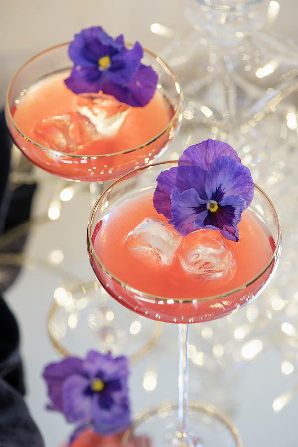 Cocktails With Vodka, Kamm & Sons And Edible Flowers Photograph by Winfried Heinze