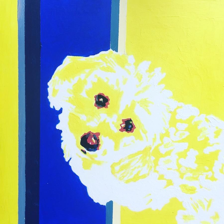 coco by Kate Cooper coco by Kate Cooper