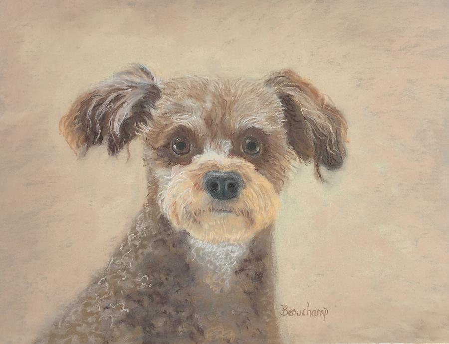 Coco the Poodle Pastel by Nancy Beauchamp