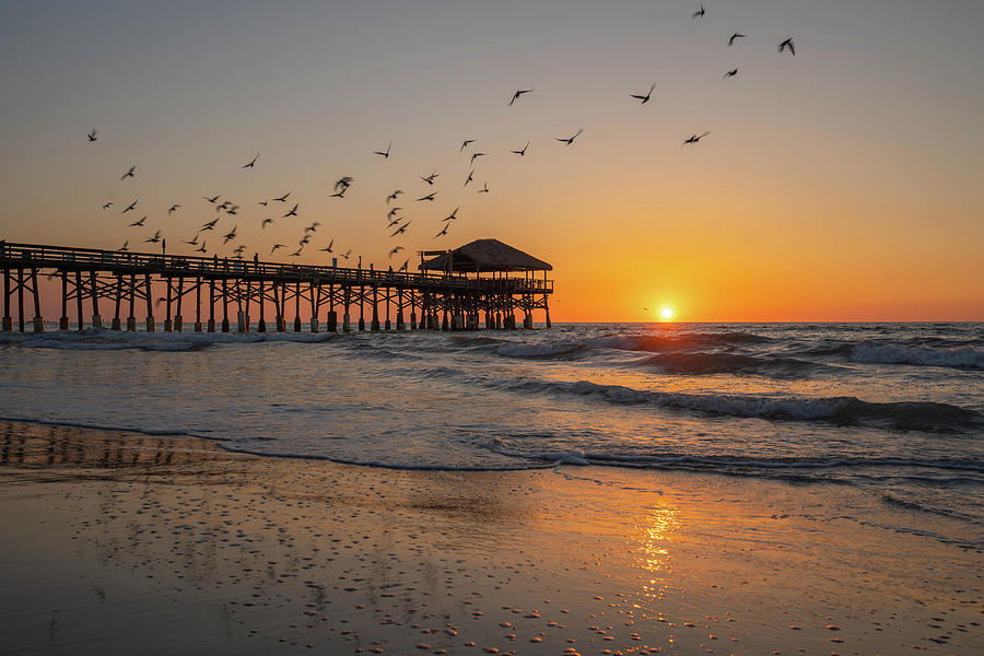 Beach Photograph - Cocoa Beach Pier Sunrise birds by Joey Waves