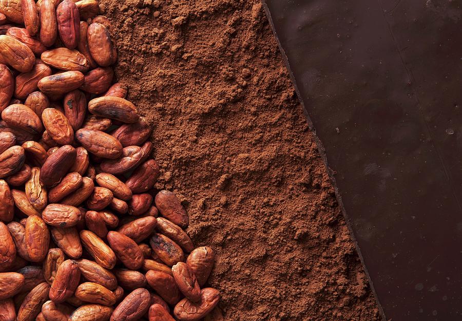 Cocoa Beans, Cocoa Powder And Chocolate Photograph by Flvio Coelho