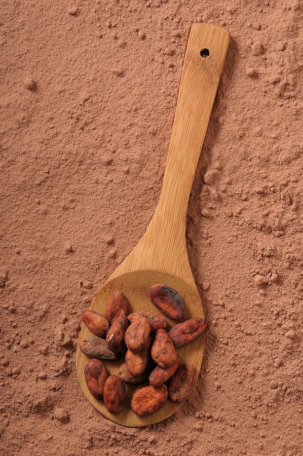 Cocoa Beans On A Wooden Spoon In Cocoa Powder Photograph by Jean-christophe Riou