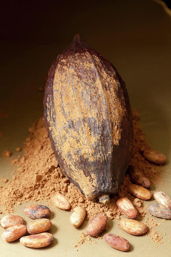 Cocoa Fruit, Cocoa Beans And Cocoa Powder Photograph by Hilde Mche