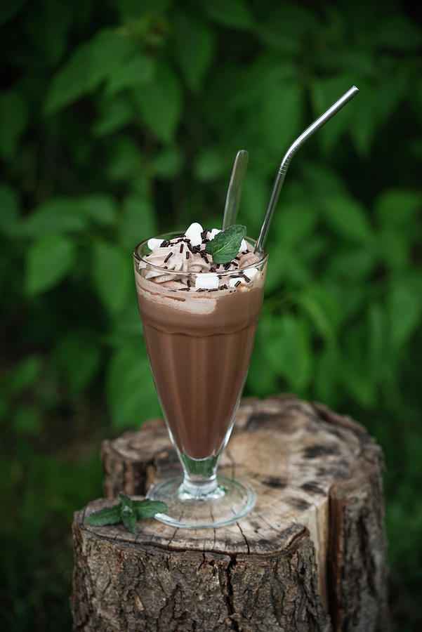 Cocoa Made With Almond Milk And Vegan Chocolate Cream Photograph by Kati Neudert