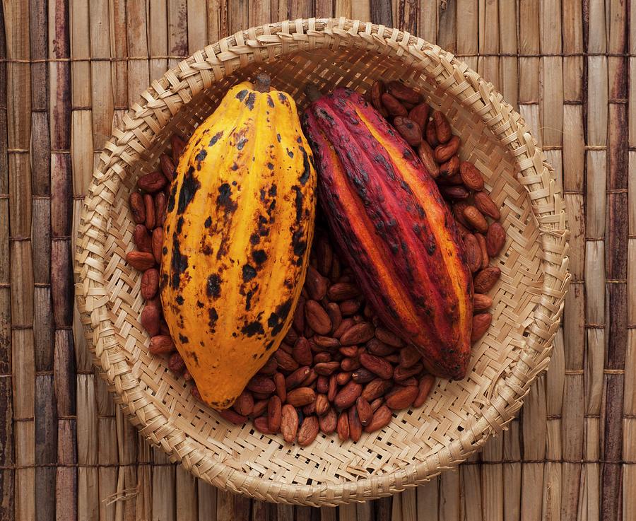 Cocoa Pods On Beans In A Straw Basket Photograph by Flávio Coelho ...