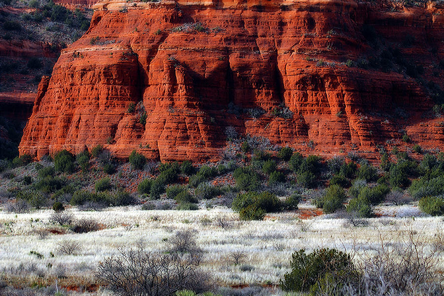 Landscape Mixed Media - Coconino Red Rock 003 by Gayle Berry