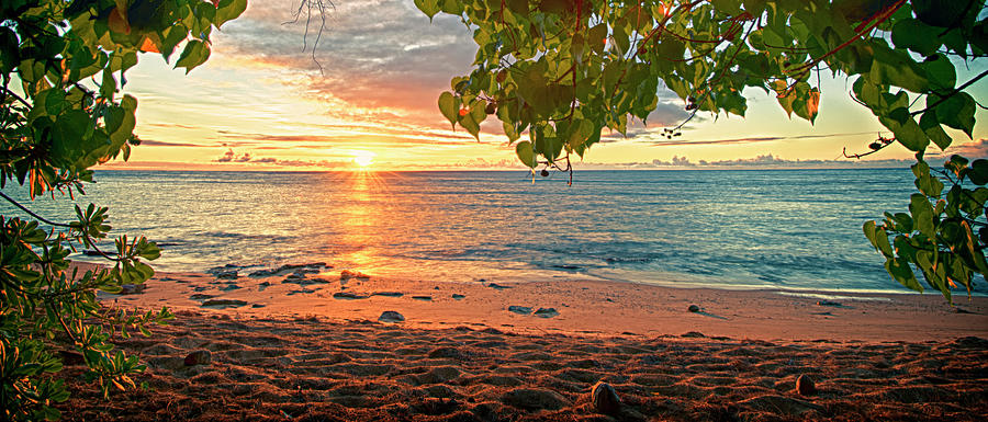 Coconut Beach Photograph by Jayson Tuntland