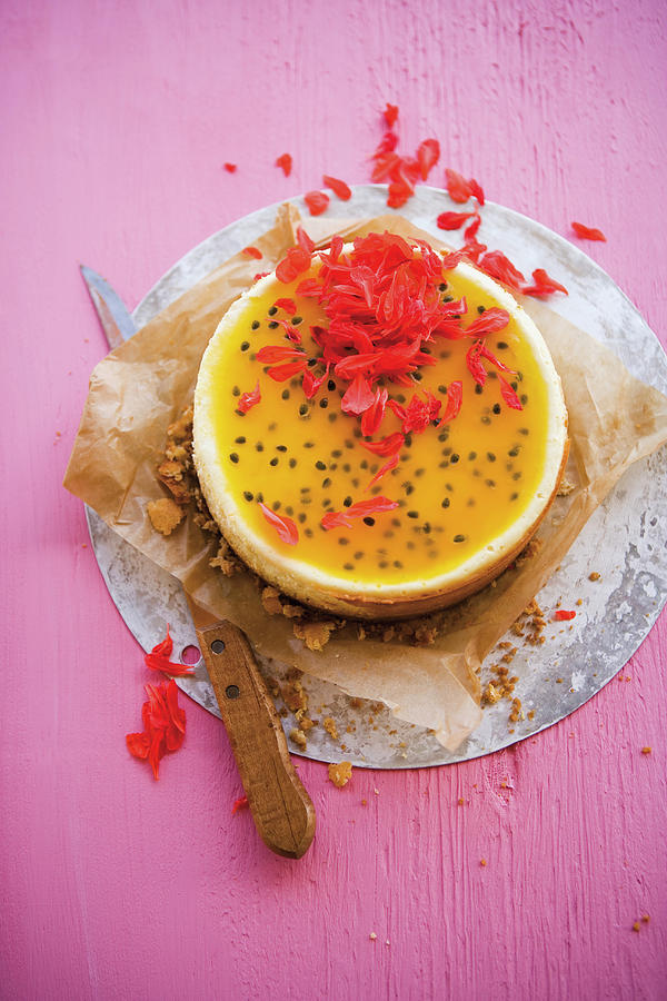 Coconut Cheesecake With Passion Fruit Photograph by Michael Wissing