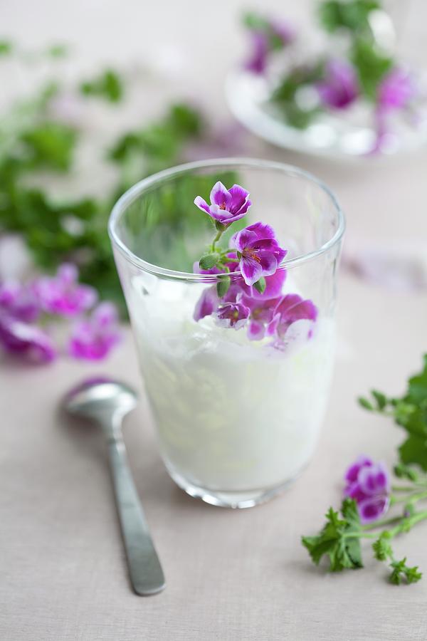 Coconut Drink With Scented Geranium Oil & Pelargonium Flowers Photograph by Martina Schindler