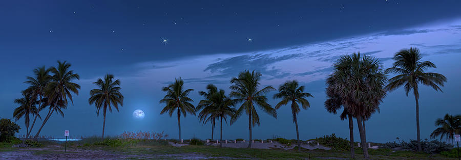 Coconut Moon Photograph by Mark Andrew Thomas