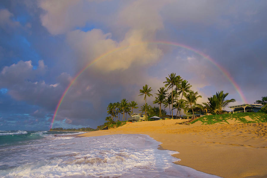 Coconut Rainbow Photograph by Sean Davey