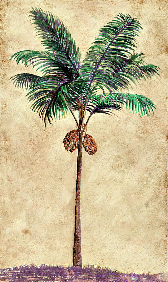 Coconut Mixed Media - Coconut Tribal Palm II by Merri Pattinian