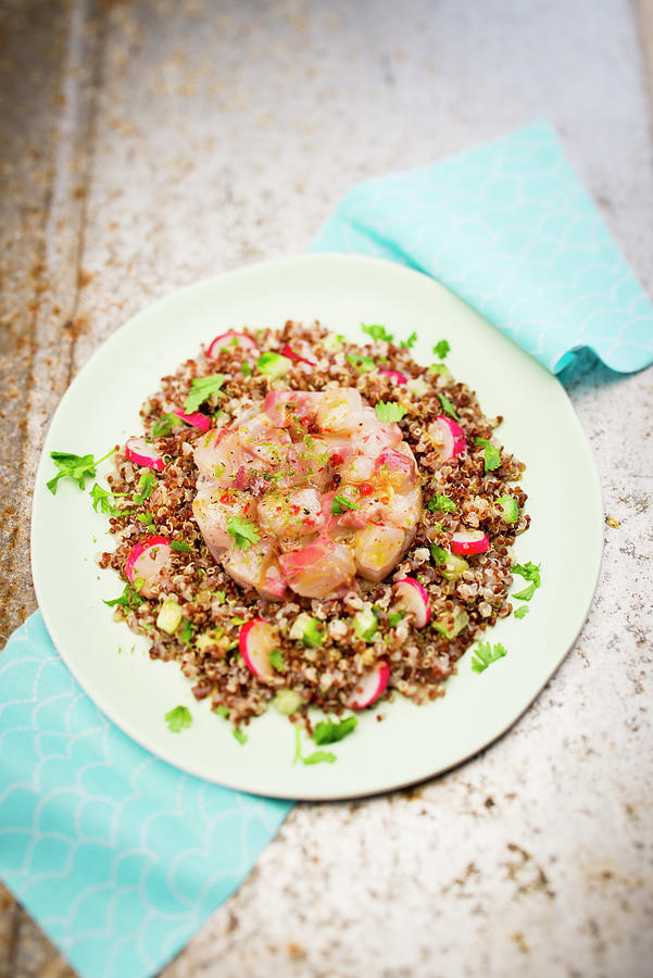 Cod Ceviche With Quinoa And Radishes Photograph by Hallet