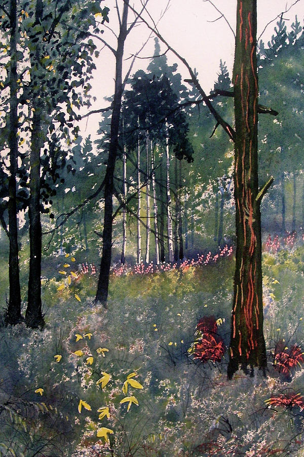 Tree Painting - Codbeck Forest by Glenn Marshall