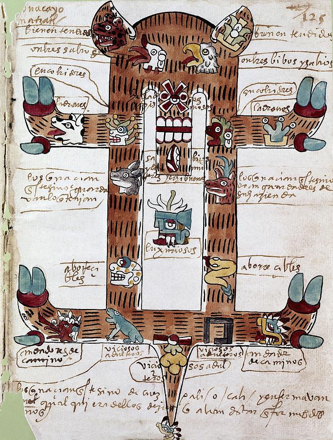 Codex Tudela - Astrological Tree To Establish The Horoscope - Aztecan Manuscript Dated 1553. Drawing by Album