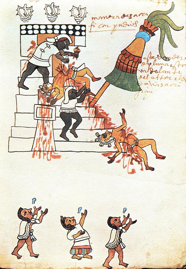 Codex Tudela Aztec human sacrifice, 1553. Painting by Album