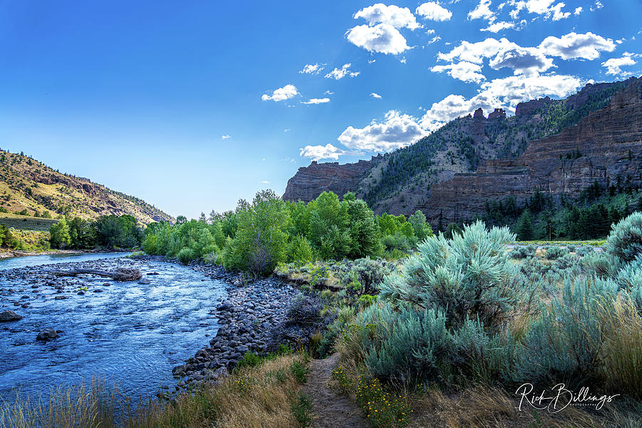 Cody River Stream No 1089 by Rick Billings Cody River Stream No 1089 by Rick Billings
