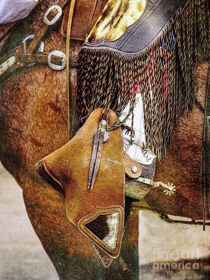 Cody Spur and Cowboy Photograph by Craig J Satterlee