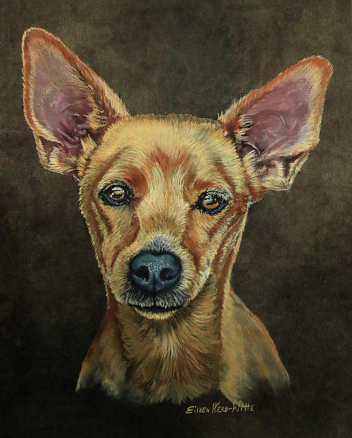 Dog Painting - Cody The Chihuahua by Eileen Herb-witte