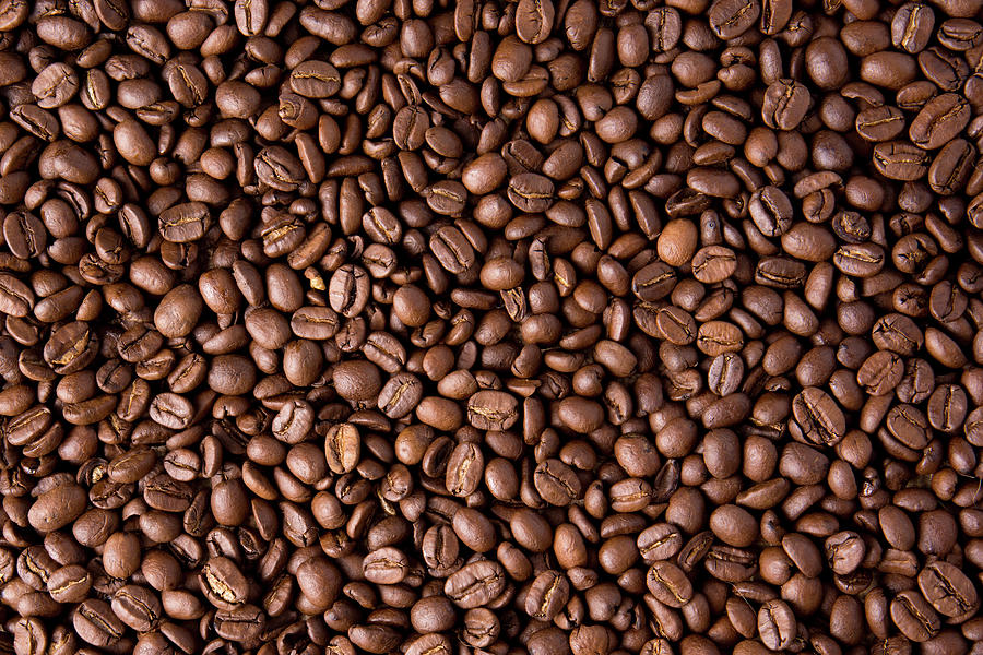 Coffee Bean Wallpaper Photograph by Derek Northrop