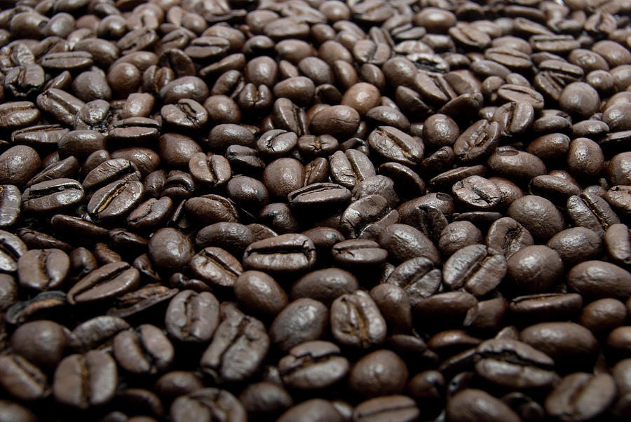 Coffee Bean Photograph by Yorkfoto
