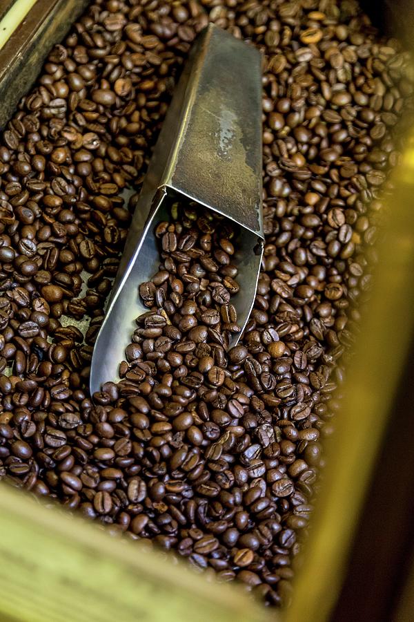 Coffee Beans In caff Sciascia With A Scoop, Rome Photograph by Jalag / Andrea Di Lorenzo