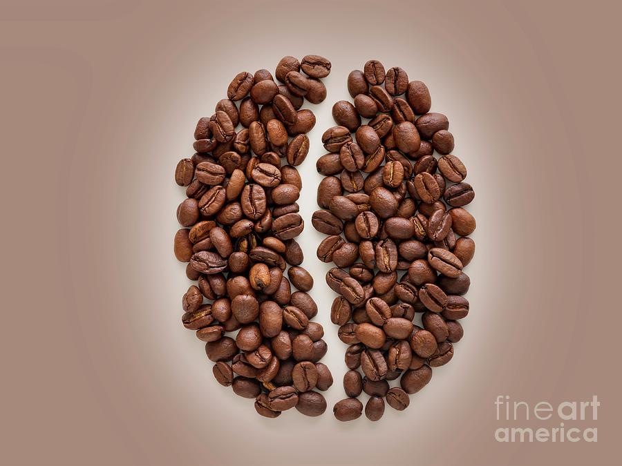 Coffee Beans In Coffee Bean Shape Photograph by Science Photo Library Coffee Beans In Coffee Bean Shape Photograph by Science Photo Library