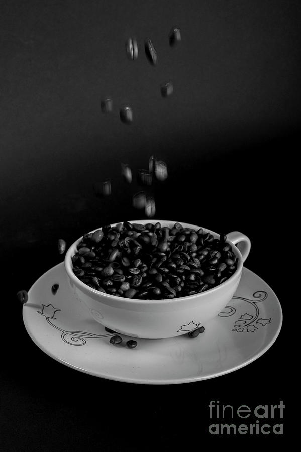 Coffee beans pour into a coffee cup h4 Photograph by Ofer Zilberstein