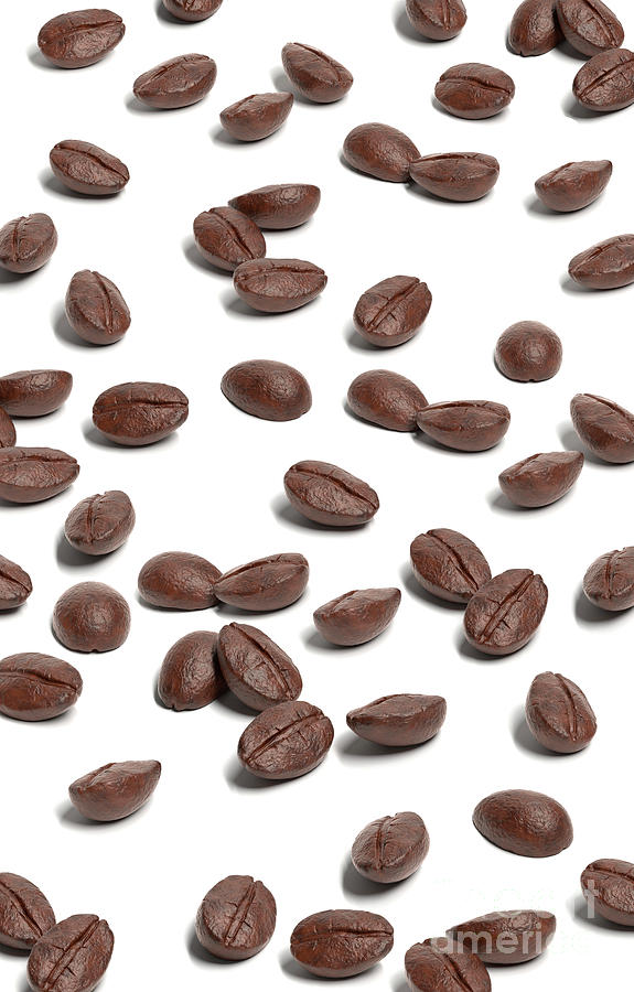 Coffee Beans Spread On White Surface Photograph by Leonello Calvetti/science Photo Library