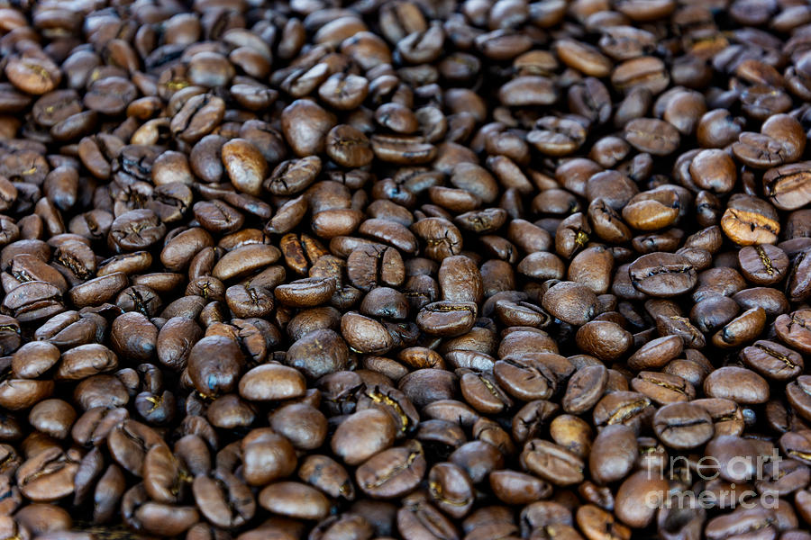 Coffee Beans Texture Photograph