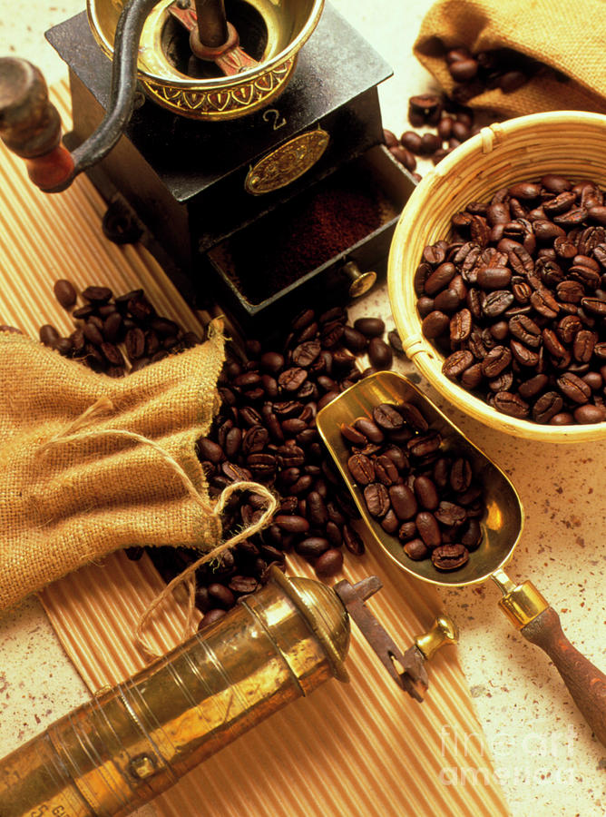 Coffee Beans With Grinding Machine Photograph by Erika Craddock/science Photo Library