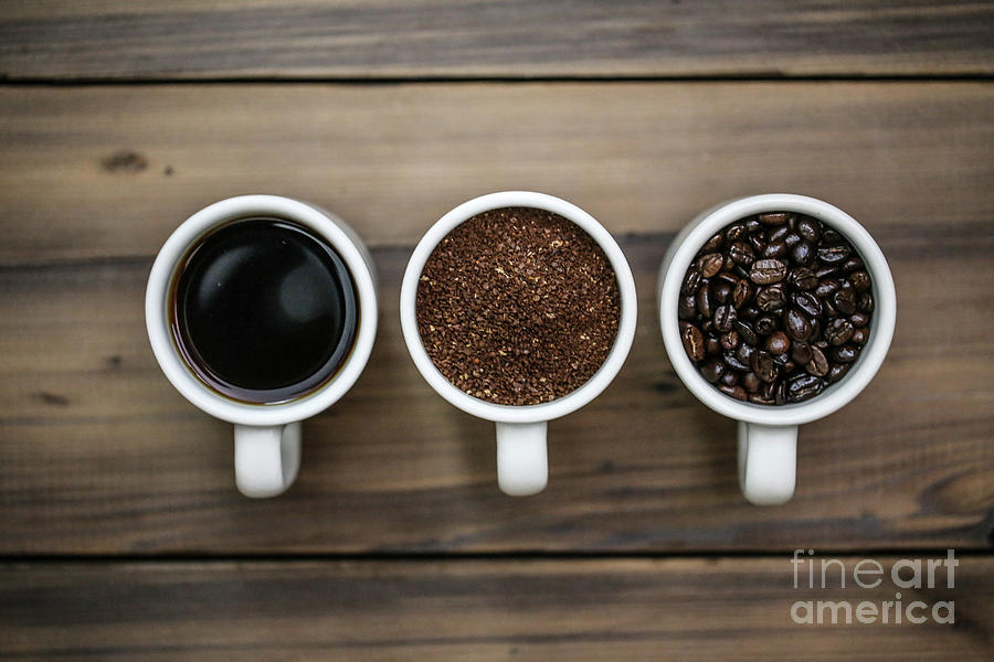 Coffee Photograph - Coffee Circle of Life by Eddie Hernandez Coffee Photograph - Coffee Circle of Life by Eddie Hernandez