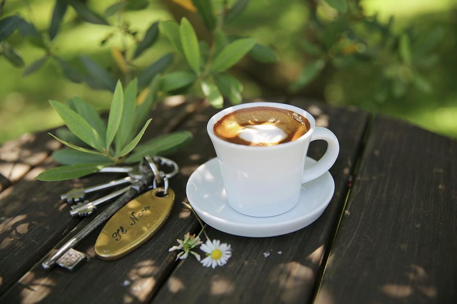 Coffee In The Garden In Tuscany Photograph by Dorota Ryniewicz