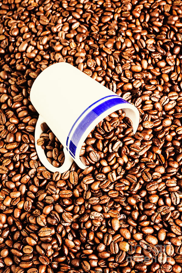 Coffee Tips Photograph