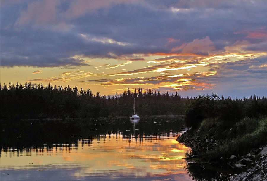 Coffman Cove Alaska Photograph By Bailey Watson - Fine Art America