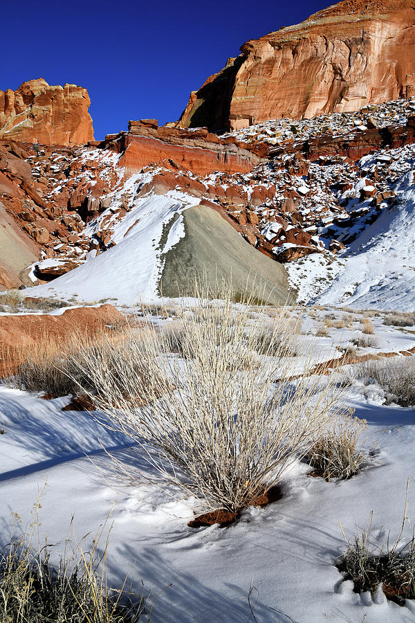 Cohab Canyon along Scenic Road in Capitol Reef Photograph by Ray Mathis
