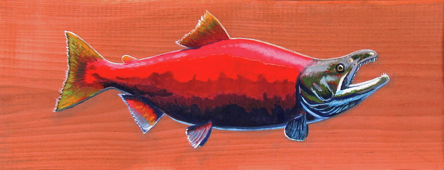 Coho Salmon 1 Painting by Kevin Hughes