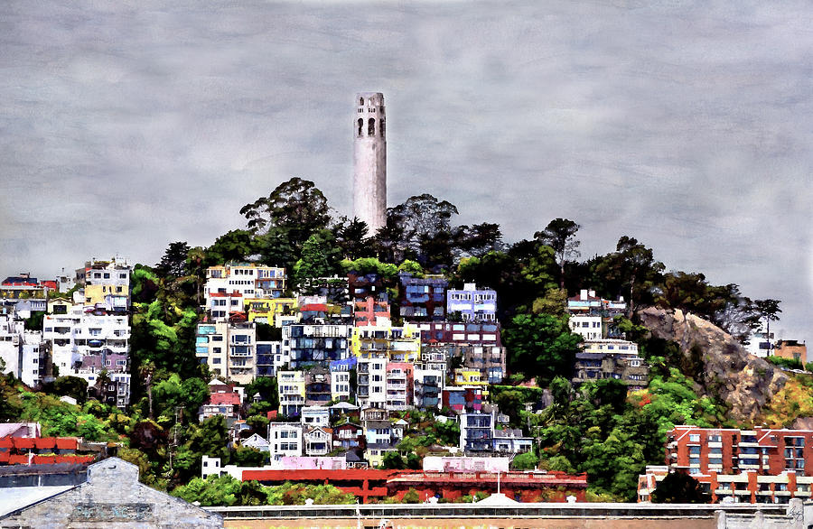 Coit Colors by Wayne King Coit Colors by Wayne King
